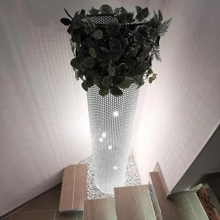 Betta Splendens شقة