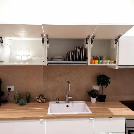 Betta Splendens Палермо