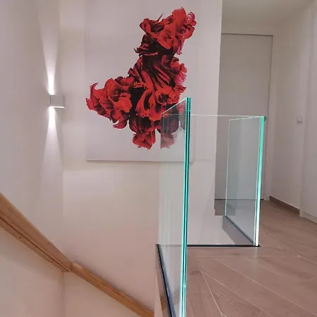 Betta Splendens Παλέρμο